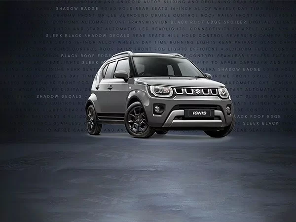 Suzuki Slide 1 D